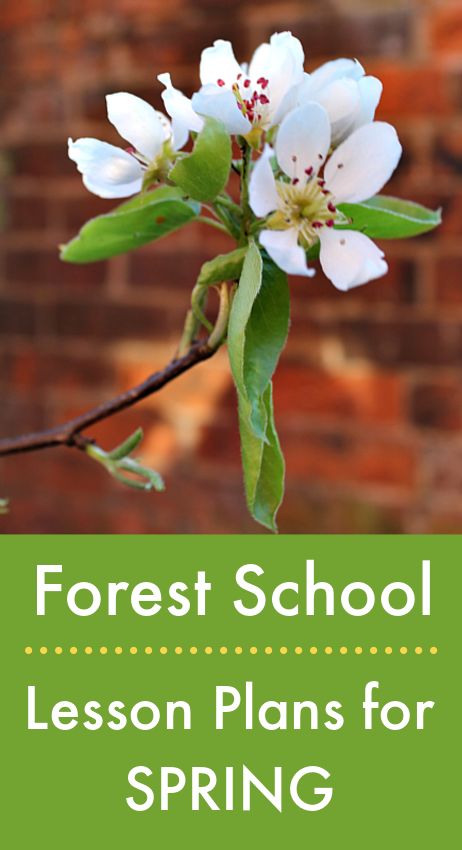 Forest School Planning, Forest School Lesson Plans, Spring Forest School Activities, Spring Nature Activities, Forest School Ideas, Forest Unit, Nature Curriculum, Forest Preschool, Spring Lesson Plans