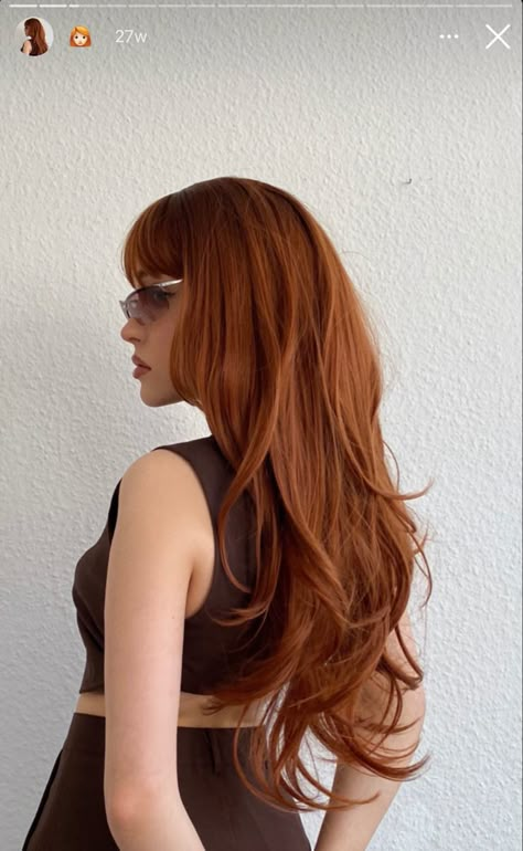 70s Ginger Hair, Rich Ginger Hair, Julia Roberts Red Hair, Ginger Hair On Asian, Auburn Hair Aesthetic, Bright Spring Hair Color, Deep Ginger Hair, Copper Hair With Bangs, Ginger Hair Styles