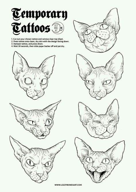 Sphynx Cat Tattoo, Chat Sphynx, Sphinx Cat, Tattoo Flash Art, Sphynx Cat, Animal Sketches, Flash Art, Trendy Tattoos, Sphynx