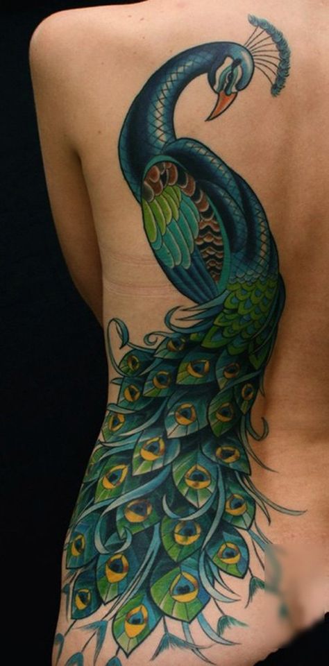 Knots Tattoo, Peacock Tattoos, Tattoo Side, Girl Shoulder Tattoos, Peacock Feather Tattoo, Peacock Tattoo, Tattoo Mandala, Back Of Shoulder Tattoo, Pretty Tattoos For Women