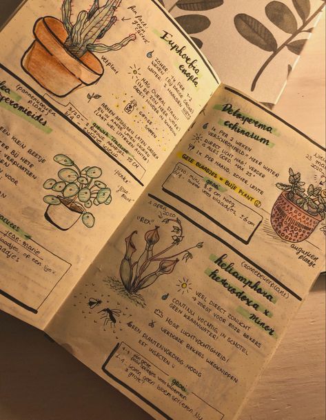 Plants Journal Ideas, Books On Plants, Nature Notebook Ideas, Nature Zine Design, Plant Notes Aesthetic, Plant Journal Aesthetic, Plant Diary Template, Taking Care Of Plants Aesthetic, Journal Ideas Plants