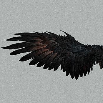 Yennefer Of Vengerberg, Raven Queen, Black Wings, Fantasy Aesthetic, Angels And Demons, Dragon Age, Fallen Angel, Character Aesthetic, The Villain