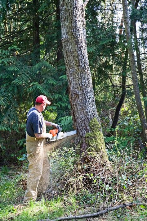 Cut Down Tree, Cut Down Trees, Social Project, Types Of Saws, Electric Chainsaw, Dense Forest, Tree Felling, Small Business Start Up, Tree Removal