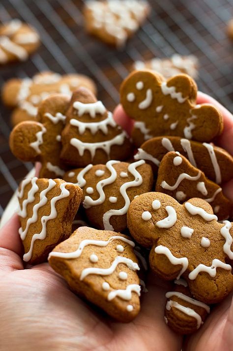 This perfect sweet and spicy Small-batch Gingerbread Cookie recipe will make 6 to 8 large cookies and about 2 dozen mini gingerbread cookies. From BakingMischief.com Gluten Free Gingerbread Cookies, Vegan Gingerbread Cookies, Lazy Cat Kitchen, Gluten Free Christmas Cookies, Gingerbread Cookies Decorated, Soft Gingerbread Cookies, Gluten Free Gingerbread, Vegan Gingerbread, Cat Kitchen