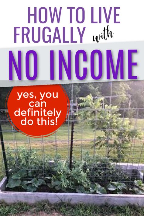 How to live on nothing: When you have no income and you aren't sure how you'll get by, here's some help. Learn how to thrive when you have no money. Living Cheap Saving Money, No Income, Frugal Habits, Live Frugally, Money Smart, Saving Money Frugal Living, Money Saving Methods, Saving Plan, Saving Strategies