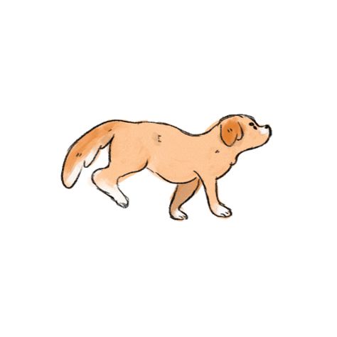 Chibi Dog, Running Gif, Dog Run, Dog Running, Dog Animation, Dog Runs, Dog Pin, Cartoon Dog, Videos Funny