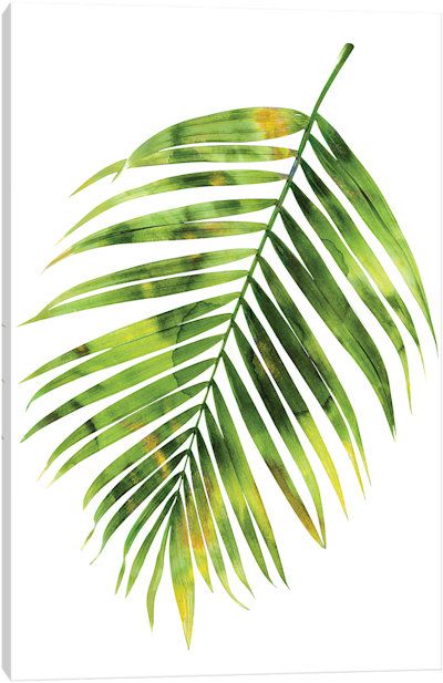 Green Palm I Canvas Art Print Leaves Watercolor, Tissue Paper Flowers, Tree Canvas, Affordable Wall Art, Painting Edges, Palm Leaf, Cool Posters, Palm Leaves, Stretched Canvas Prints