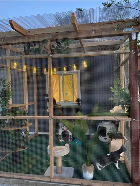 Cat House Design, Cat House Outdoor, Catio Plans, Cat Room Decor, Catio Ideas, Katt Grejer, Cat Area, Terrasse Design, Cat Patio