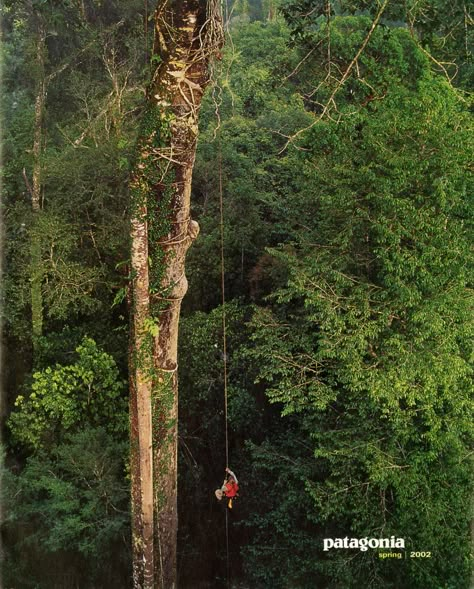 Patagonia catalog | Spring 2002 | @patagonia @patagoniabooks #patagonia #2000s #outdoor #archive #moodboard #aesthetic Patagonia Magazine, Patagonia Catalog, Patagonia Aesthetic, Catalog Covers, Nature Tourism, Tree Climbing, Catalog Cover, Rennaissance Art, Vintage Poster Design