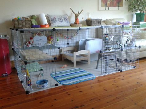 Best setup for an indoor rabbit - Rabbits United Forum Tapsi Hapsi, Indoor Guinea Pig Cage, Rattus Rattus, Indoor Rabbit Cage, Rabbit Enclosure, Guinea Pig Hutch, Rabbit Habitat, Bunny Hutch, Ferret Cage