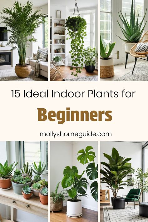 If you're new to plant parenting, discover the best indoor plants for beginners. These easy-to-grow indoor houseplants require minimal maintenance and thrive in low light conditions. Say hello to lush greenery without the need for fertilizer. Check out our top 10 list of indoor plants that are perfect for beginners like you. From snake plants to pothos, these houseplants will bring life and freshness into your home effortlessly! Indoor Plants Maintenance, House Plant Low Light Indoor, Easy To Grow Indoor Plants, Easy To Care For Indoor Plants, Indoor Plants Fertilizer, Healthy Indoor Plants, How To Take Care Of Indoor Plants, Beginner Friendly Plants, Easy Indoor Trees House Plants