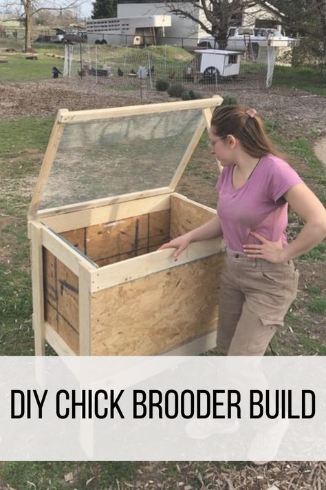 DIY Chick Brooder Build Plan • My Blog Diy Chick Brooder, Diy Brooder, Chicken Brooder Box, Chick Brooder, Chicken Tunnels, Brooder Box, Chicken Brooder, Raising Chicks, Chicken Tractor