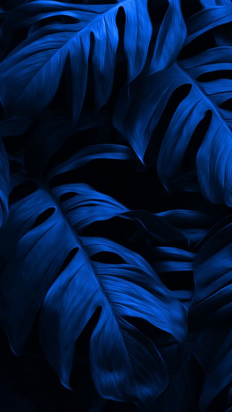 #dark#blue#leaves#wallpaper Art For Dark Blue Wall, Dark Blue And Black Background, Dark Blue And Black Aesthetic Wallpaper, Dark Blue Minimalist Wallpaper, Blue Leaves Aesthetic, Black And Blue Wallpaper Backgrounds, Dark Blue Background Wallpapers, Navy Blue Background Wallpapers, Dark Blue Color Wallpaper