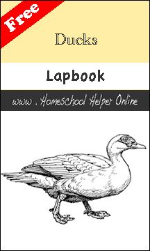 free ducks lapbook | Homeschool Helper Online Plant Lap Book, Science Lapbooks, Botany Study, Science Unit Studies, Human Body Projects, Lapbook Ideas, Garden Unit, Lap Books, Plants Unit