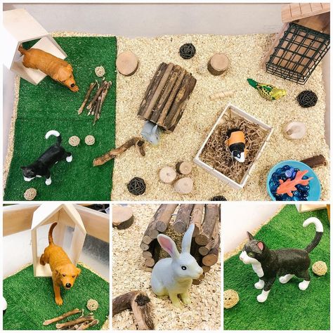 Animal Activities For Kids, Pets Preschool Theme, Baby Learning Activities, Tuff Tray, Family Theme, Tray Ideas, Pet Vet, Sensory Table, Sand Table