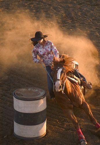 Barrel Racing Aesthetic, Barrel Racing Photography, Barrel Racing Photos, Barrel Horses, Racing Photography, Foto Cowgirl, Barrel Racing Saddles, Rodeo Girls, Horse Show Clothes