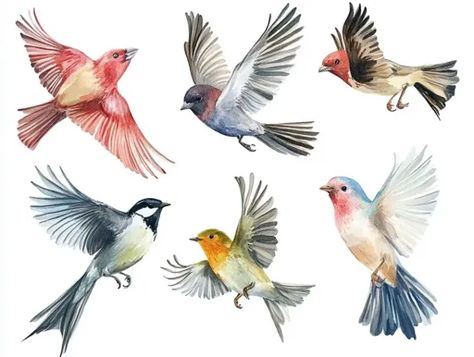 ↑↑↑ Larger size on website 🔸 The image depicts six watercolor birds in various poses against a white background. The birds are al Watercolor Bird Flying, Watercolour Bird, Watercolor Birds, Colorful Watercolor, Book Display, Watercolor Bird, Birds Flying, In Flight, The Birds