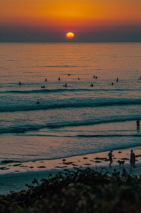 Orange Surf Aesthetic, San Diego Aesthetic, Cali Sunset Aesthetic, Beach Bum Aesthetic, San Diego Sunset, Sunset Surfing Aesthetic, San Diego Surfing, Sunset Beach California, Beach Mural