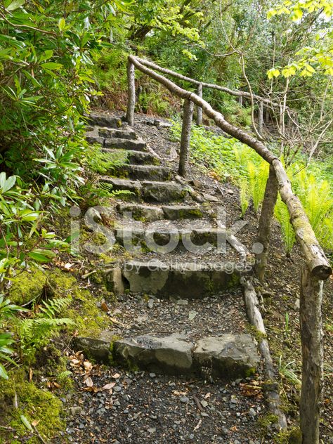 Rustic Steps Outdoor, Garden Steps Handrail, Woodland Steps, Hill Steps, Lake Landscaping, Outdoor Handrail, Landscape Stairs, Step Railing, Stone Steps