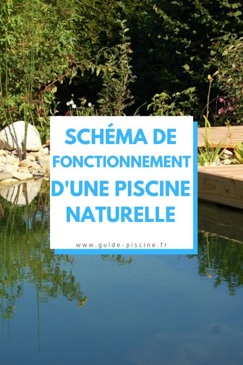 Comment s'installe une piscine naturelle ? Quel est son écosystème, de quels types de bassins est-elle composée ? Quels types de plantes ? Découvrez notre schéma explicatif ! #piscine #naturelle #biologique #nature #ecologique #bassin #schema #fonctionnement #jardin #terrasse #poisson #filtration Diy Construction, Natural Swimming Ponds, Swimming Pond, Natural Swimming Pool, Spa Decor, Natural Building, Natural Pool, Tropical Garden, Outdoor Swimming Pool