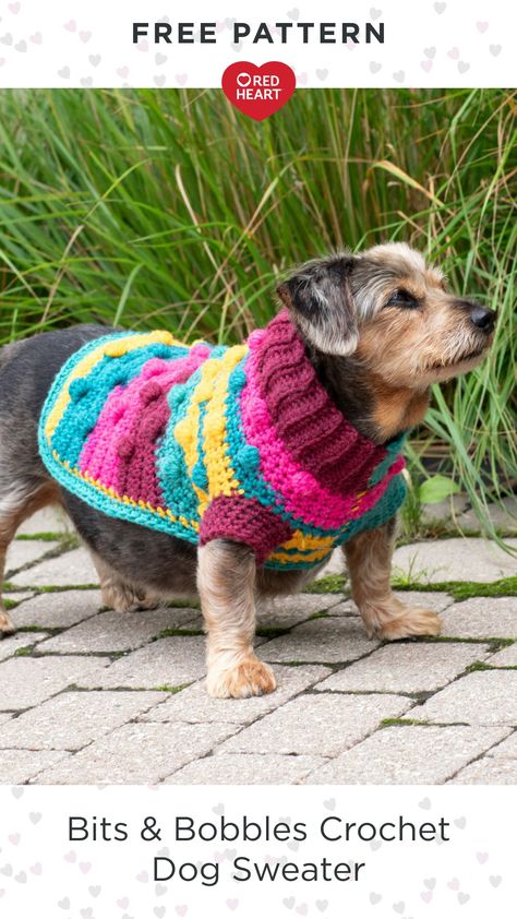 Free Bits & Bobbles Crochet Dog Sweater pattern using Red Heart Super Saver yarn. Wrap your pup in the wonderful texture of this adorable crochet dog sweater. The self-striping yarn means you can focus on your stitches and let the yarn do the colorwork for you. Practice bobble stitch, single crochet, working in back loop, single crochet 2 together, and more. It's sure to make any canine cozy and extra cute! #Yarnspirations #FreeCrochetPattern #CrochetDogSweater #RedHeartYarn #RedHeartSuperSaver Bobbles Crochet, Crochet Dog Sweater Pattern, Heart Bit, Crochet Christmas Stocking Pattern, Dog Sweater Crochet Pattern, Bobble Crochet, Dog Sweater Pattern, Crochet Dog Sweater, Crochet Christmas Stocking