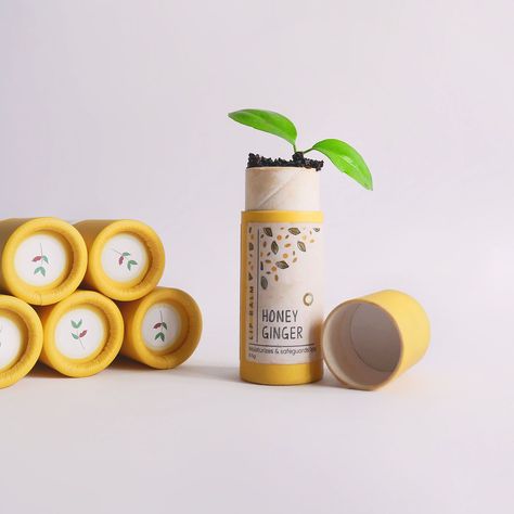 A sustainable packaging option for natural lip balm. #lipbalm #naturallipbalm #ecofriendly #ecofriendlylipbalm Lip Balm Packaging Ideas, Lip Balm Design, Organic Plan, Balm Packaging, Lip Balm Packaging, Custom Lipstick, Shampoo Packaging, How To Make Lipstick, Handmade Lip Balm