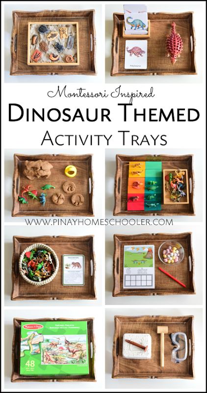 Montessori Inspired Dinosaur Activity Trays for Preschoolers Dinosaur Montessori Bedroom, Dinosaur Practical Life, Dinosaur Set Up Preschool, Dinosaur Provocation Preschool, Montessori Science Activities Preschool, Dinosaur Educational Activities, Montessori Dinosaur Activities, Reggio Dinosaur Provocations, Dinosaur Provocations