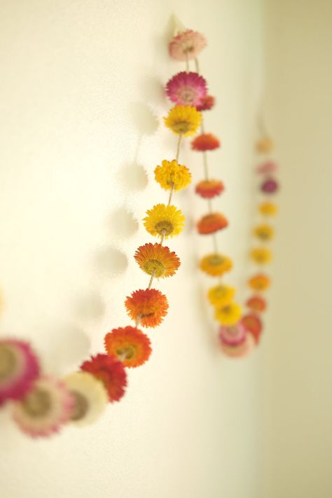 Dried Strawflower Ideas, Straw Flower Garland, Dandelion Garland, Strawflower Crafts, Strawflower Garland, Dried Strawflowers, Dried Flower Garland, String Flowers, Wedding Flower Garland