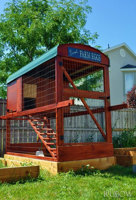 I like this move-able chicken coop. This way, when the "floor" gets too dirty, you pick it up and move it to the next raised garden. Chicken manure on the raised garden beds. Cute Chicken Coops, Chicken Coup, Coop Design, Keeping Chickens, Chickadees, Chicken Runs, Chicken Coops, Chicken House, Chicken Farm