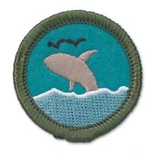 Oceanography Badge | Girl Scouts Council's Own Awards Wikia | Fandom Junior Girl Scout Badges, Physics And Chemistry, Girl Scout Uniform, Beach Clean Up, Girl Scout Badges, Girl Scout Camping, Scout Badges, Girl Scout Juniors, Scout Camping