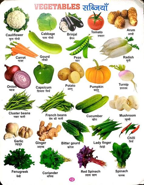 Fruits And Vegetables Names, Vegetables Names With Pictures, Vegetables Name, Fruits And Vegetables List, Name Of Vegetables, Fruits Name In English, Vegetable Chart, Potatoes Green Beans, Broccoli Spinach