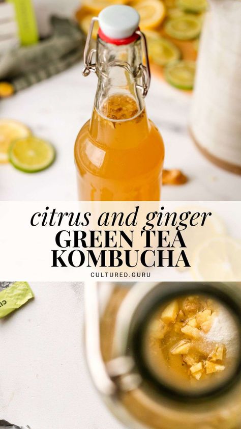 Boost your gut health and get a dose of electrolytes with this refreshing citrus ginger green tea kombucha! This kombucha is made with fresh ginger and all-natural LMNT Citrus Electrolytes, which provide sodium, potassium, and magnesium for effective hydration. #green #tea #kombucha #ginger Ginger Kombucha Recipe, Green Tea Kombucha, Ginger Kombucha, Ginger Green Tea, Kombucha Recipes, Cultured Food, Kombucha Scoby, Anti Inflamatory, Kombucha Recipe