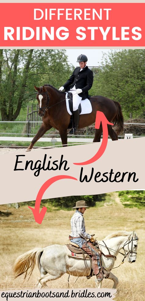 The Difference Between Western and English Riding 13 English Vs Western Riding, Horse Training Schedule, Ahg Tenderheart, Pole Exercises For Horses, Liberty Horse Training, Lunging Horse, Liberty Horse, Horsemanship Patterns, Horses Training