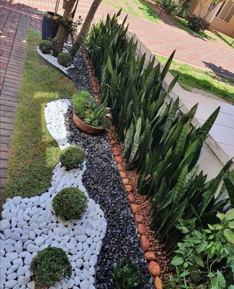 Bromeliads Landscaping Front Yards, Front Garden Ideas Driveway, Garden Ideas Driveway, Front Lawn Landscaping, Small Front Yard Landscaping, Modern Backyard Landscaping, Rock Garden Design, Front Yard Garden Design, Fall Garden Vegetables