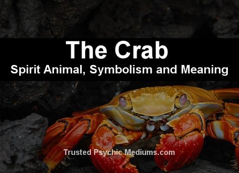 The Crab Spirit Animal - A Complete Guide to Meaning and Symbolism. Crab Spiritual Meaning, Crab Symbolism, Animal Omens, Animal Spirit Art, Symbol Meanings, Spirit In The Sky, Art Meaning, Fiddler Crab, Animal Signs