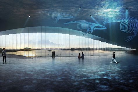 A whale-inspired structure at the ocean’s edge designed to watch the majestic creatures! Norway Design, Underwater Restaurant, Danish Architecture, Parametric Architecture, The Whale, Arctic Circle, Design Competitions, Exhibition Space, Whale Watching