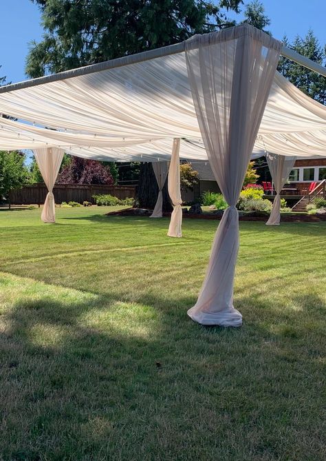 Backyard Draping Ideas, Wedding Canopy Outdoor Draping, Diy Wedding Canopy, Small Outdoor Wedding Reception, Small Outdoor Wedding Ideas, Small Wedding Reception, Wedding Canopy Outdoor, Beach Wedding Setup, Willow Tree Wedding