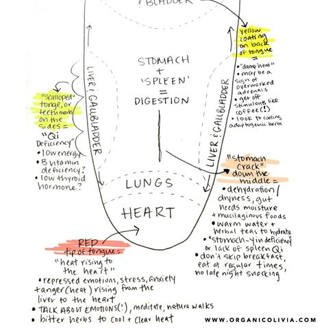 What Your Tongue Can Say About Your Health - Organic Olivia | Organic Olivia Chinese Medicine Diet, Tcm Traditional Chinese Medicine, Happy Brain, Acupressure Therapy, Eastern Medicine, Tongue Health, Energy Medicine, Qi Gong, Holistic Medicine