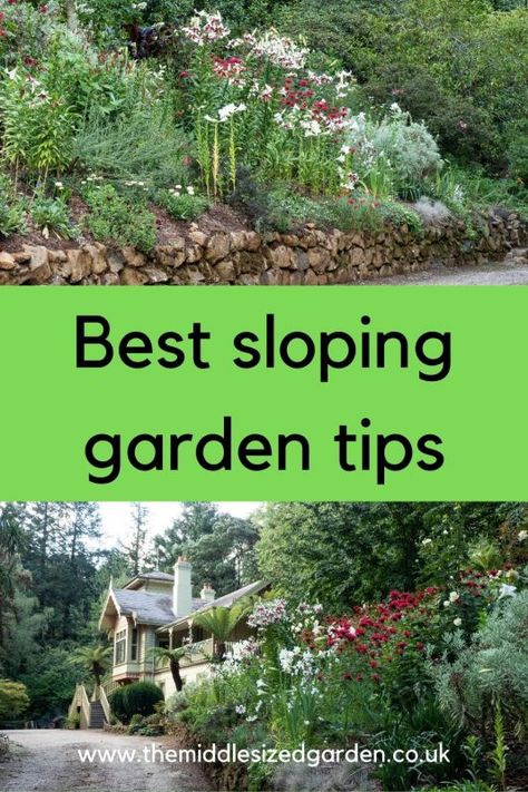 Small Garden On A Slope, Rock Gardens On A Slope, Planting Slopes, Bank Landscaping, Backyard Walls, Slope Gardening, Hillside Gardening, Sloping Garden, Slope Landscaping