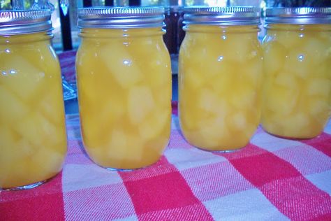 WHAT TO DO WITH THOSE GIANT ZUCCHINI...make fake pineapple!!! yeah I know. I was like what??? but it works! Zucchini Candy, Mock Pineapple, Preserve Recipes, Zucchini Pineapple, Homestead Canning, Canned Veggies, Fermenting Foods, Homestead Diy, Zucchini Relish