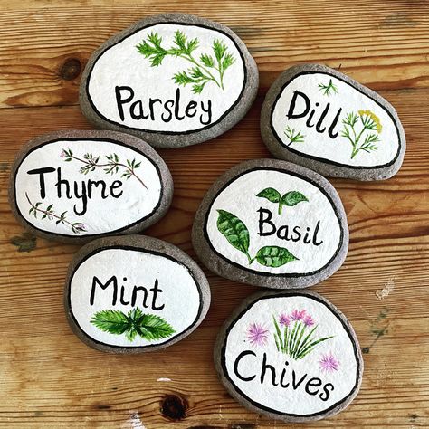 Herb labels/markers hand painted on rocks for in the garden. Painted with acrylics and then varnished over for extra protection! Rock Painting For Garden Plant Markers, Rock Labels For Garden, Painted Rock Plant Markers, Seed Labels Diy Plant Markers, Herb Rock Garden, Painted Rock Garden Markers, Painted Rocks Garden Markers, Plant Labels Ideas, Diy Herb Markers