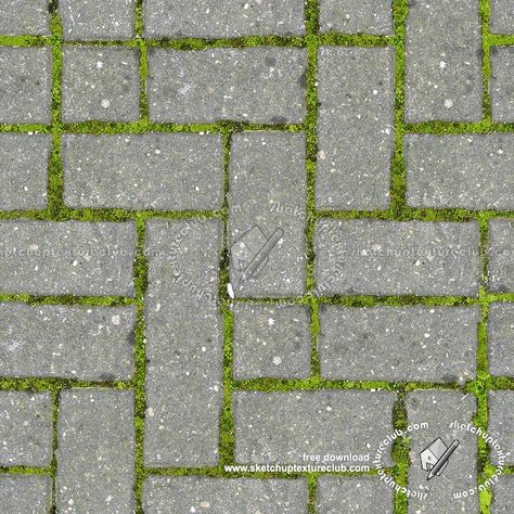 Concrete block park paving texture seamless 18836 Paving Block Texture, Paving Texture Seamless, Street Curb, Paving Texture, Paving Block, Concrete Block, Outdoor Park, Texture Seamless, Interior Wall Design