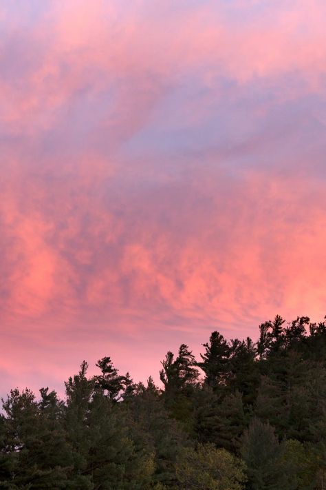 Pink And Blue Sky, Pretty Skys, Sunday Picnic, Pink Landscape, App Aesthetic, Istanbul City, Free Nature, Pink Forest, Sunset Clouds