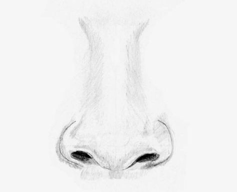 How to Draw a Nose: Step By Step Guide For Beginners - Hobby Lesson Doodle Paint, Draw Realistic, Nose Drawing, Lips Drawing, Drawing Lessons, Fantastic Art, A Drawing, Easy Paintings, Drawing Techniques