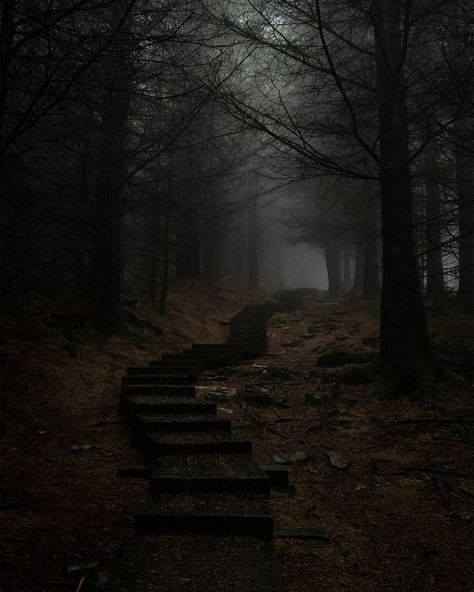 Spooky Woods, Folk Horror, Fantasy Romance Books, Deep Autumn, Mystical Forest, Deep Winter, Walk In The Woods, Game Inspiration, Witchy Vibes