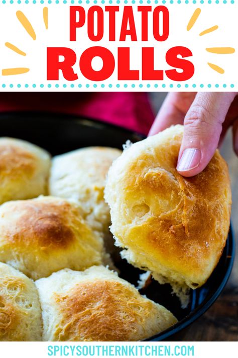 Potato Rolls made with leftover mashed potatoes cook up fluffy and golden and have a little sweetness to them. Dab on some butter and get ready for homemade bread heaven! Potato Rolls Recipe, Sweet Potato Rolls, Sticky Bun, Yummy Bread, Potato Rolls, Bake Bread, Potato Roll, Southern Kitchen, Southern Kitchens