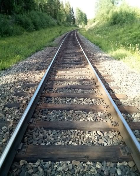 My #Morning #Pathway 🌲🌤️🌿🦆☕️😋🤚 : : : : #insta #instadaily #ınstagood #minnesota #MN #trail #path #travel #monday #holiday #laborday Bloxburg Summer Camp, Train Tracks Aesthetic, Mason Aesthetic, Ray Hall, Natalie Williams, Train Tracks Photography, Monday Holiday, Rail Train, Scenic Railroads