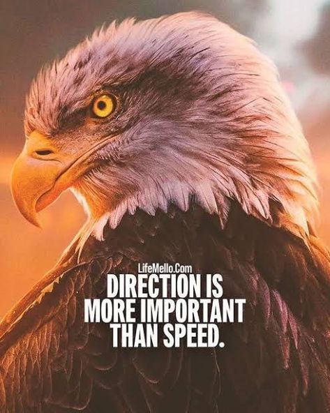 Eagle Quotes, Leadership Quotes Work, Eagles Quotes, Mimi Quotes, Piercings Quotes, Money Is Power, Gautam Buddha Quotes, I'm Unstoppable, Special Forces Army