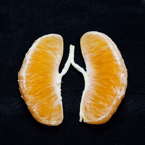 Lung Cleanse, Art Appliqué, Photo Awards, Med Student, Foto Art, Respiratory, Creative Photography, Food Art, Food Photography