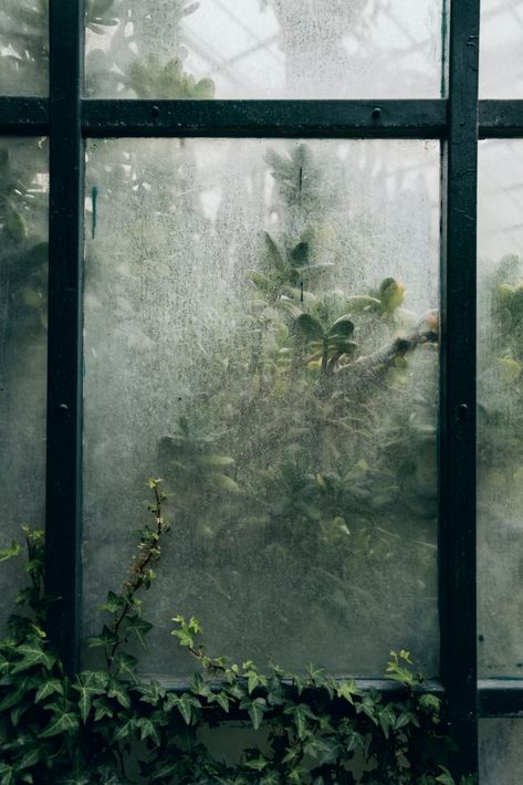 Greenhouse Pictures, Therme Vals, Zestaw Ikon, Green Windows, Winter Mood, Dark Green Aesthetic, The Greenhouse, Outdoor Photos, Night Photos